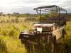 Ulusaba Cliff Lodge - Game Drive 
